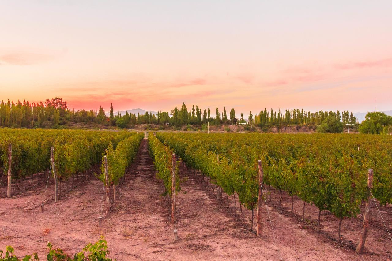 Marale Wines Hotel Boutique Villa Media Agua 외부 사진