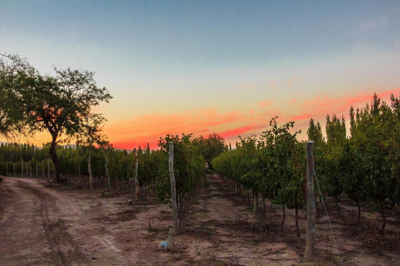 Marale Wines Hotel Boutique Villa Media Agua 외부 사진