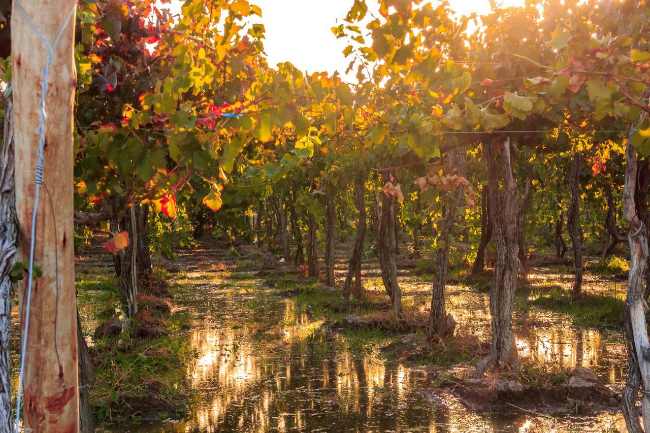 Marale Wines Hotel Boutique Villa Media Agua 외부 사진